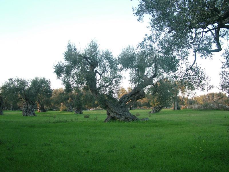 Albergo Del Santuario Santa Maria di Leuca Екстериор снимка